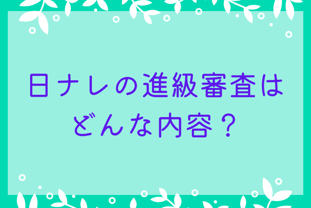 日ナレの進級審査はどんな内容？